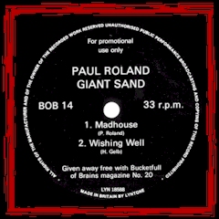 "Wishing Well" - Bucketfull Of Brains Flexi - 1987